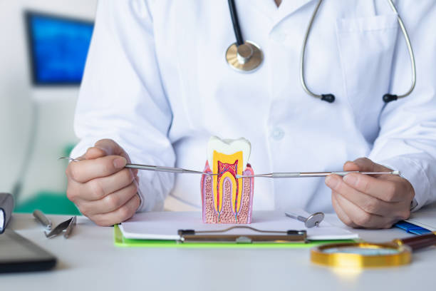 Best Tooth Infection Emergency Dentist  in Archie, MO